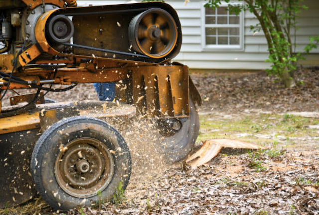 stump removal in pennsylvania