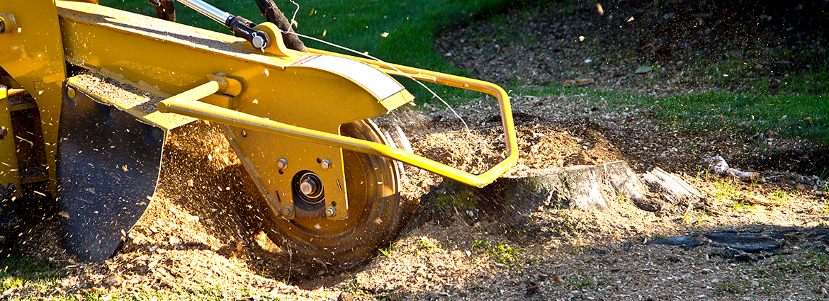 PA Stump Removal